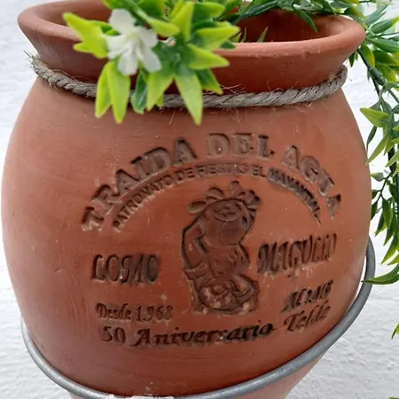 度假居 El Patio De Estrella